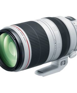 Canon EF 100-400mm f4.5-5.6L IS II USM