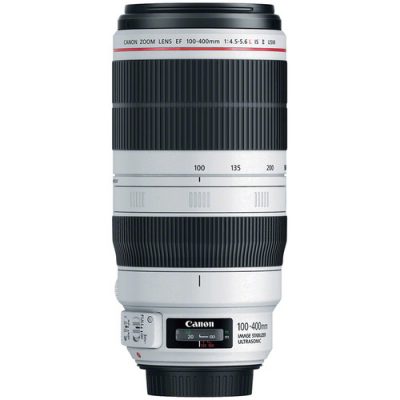 Canon EF 100-400mm f4.5-5.6L IS II USM