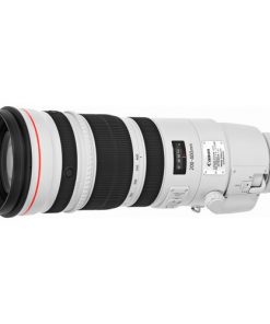 Canon EF 200-400mm F4L IS USM Extender 1.4x