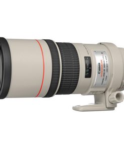 Canon EF 300mm F4L IS USM Lens