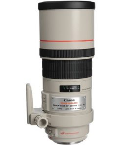 Canon EF 300mm F4L IS USM Lens