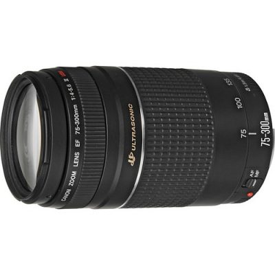 Canon EF 75-300mm F4-5.6 III USM