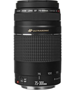 Canon EF 75-300mm F4-5.6 III USM