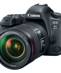 Canon EOS 6D Mark II with 24-105mm f/4L II Lens