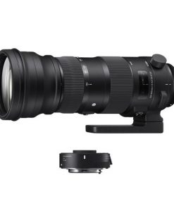 Sigma 150-600mm F5-6.3 DG OS HSM Sports