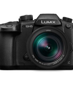 Panasonic DC-GH5L with 12-60mm lens