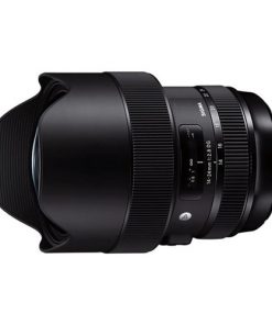 Sigma 14-24mm F2.8 DG HSM Art