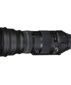 Sigma 150-600mm F5-6.3 DG OS HSM Sports