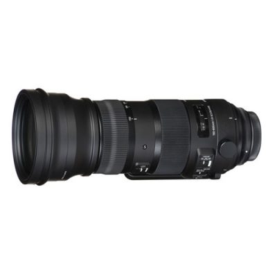 Sigma 150-600mm F5-6.3 DG OS HSM Sports