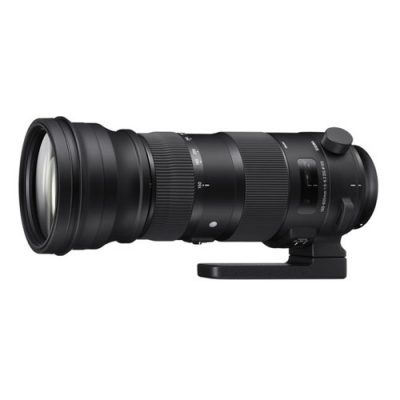 Sigma 150-600mm F5-6.3 DG OS HSM Sports