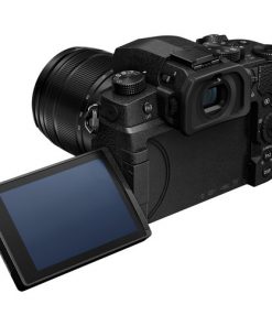 Panasonic DC-G95 with 12-60mm Lens