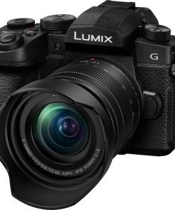 Panasonic DC-G95 with 12-60mm Lens