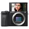 Sony A6600 Mirrorless Digital Camera