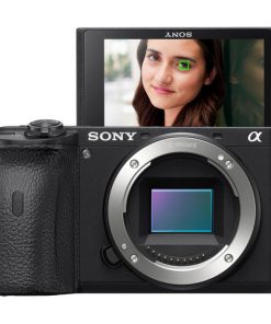 Sony A6600 Mirrorless Digital Camera