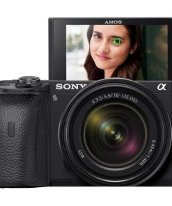 Sony A6600 Mirrorless Digital Camera with 18-135mm Lens