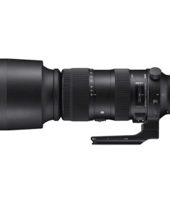 Sigma 60-600mm F4.5-6.3 DG OS HSM Sports