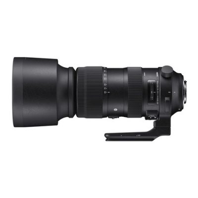 Sigma 60-600mm F4.5-6.3 DG OS HSM Sports