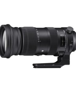 Sigma 60-600mm F4.5-6.3 DG OS HSM Sports