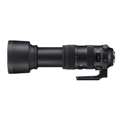 Sigma 60-600mm F4.5-6.3 DG OS HSM Sports