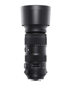 Sigma 60-600mm F4.5-6.3 DG OS HSM Sports