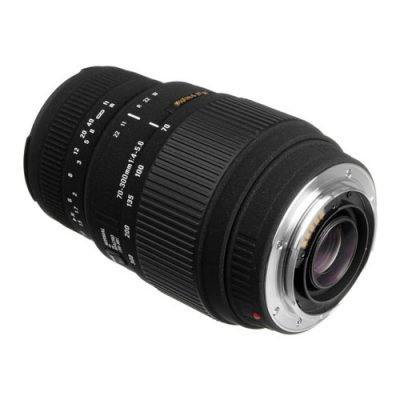 Sigma 70-300mm F4-5.6 DG Macro